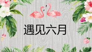 Watercolor flowers Flamingo background meet June PPT template download