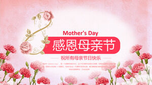 PPT-Vorlage für Thanksgiving-Muttertag mit rosa Dianthus caryophyllus-Hintergrund