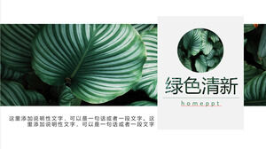 Download gratuito del modello PPT con sfondo fresco di foglie verdi