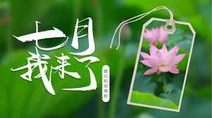 I came to download the PPT template for July with a green lotus leaf and pink lotus background