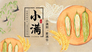 Unduh template PPT untuk memperkenalkan istilah surya Xiaoman di latar belakang menelan, telinga gandum, melon pahit
