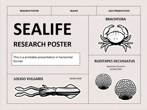 Affiche de recherche sur la vie marine