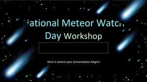 Workshop zum Nationalen Meteorbeobachtungstag