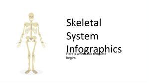 Infographie du système squelettique