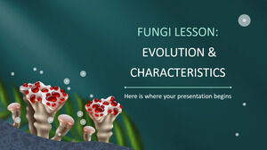 Lecția de ciuperci: evoluție și caracteristici