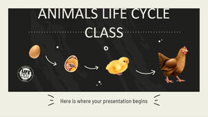 Kelas Siklus Hidup Hewan
