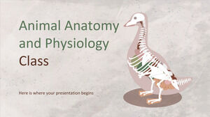 Animal Anatomy and Physiology Class