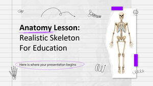 Lecție de anatomie: schelet realist pentru educație