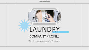 Profil firmy pralniczej