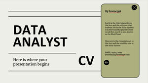 CV analityka danych