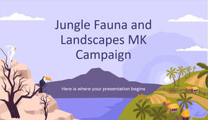 Campagne MK sur la faune et les paysages de la jungle
