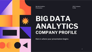 Büyük Veri Analitiği Şirket Profili