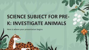Pre-K를 위한 과학 과목: 동물 조사