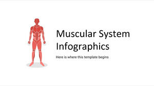 筋肉系のインフォグラフィックス