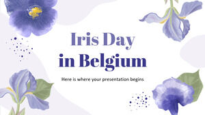 Fête de l'Iris en Belgique