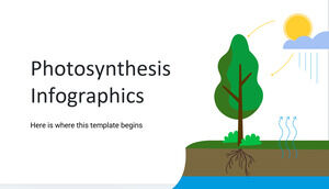 Infografía de la fotosíntesis