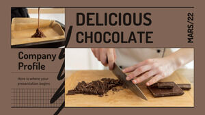 Profilul companiei Delicious Chocolate