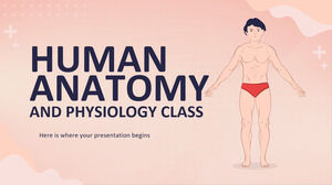 Aula de Anatomia e Fisiologia Humana