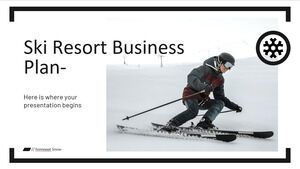 Planul de afaceri al stațiunii de schi