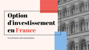 Opção de investimento na França