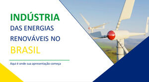 Industria delle energie rinnovabili in Brasile