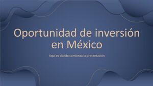 Opportunité d'investissement au Mexique