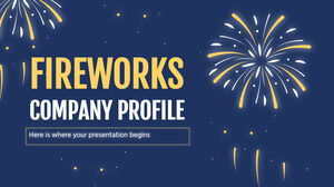 Fireworks Şirket Profili