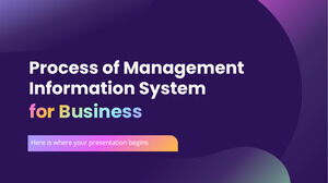 Процесс информационной системы управления для бизнеса