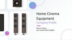Profil de l'entreprise d'équipement de cinéma maison