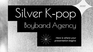 Silberne K-Pop-Boyband-Agentur