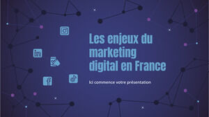 Проблемы цифрового маркетинга во Франции