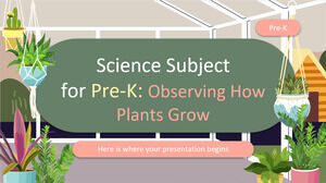 Assunto de ciências para o pré-escolar: observando como as plantas crescem