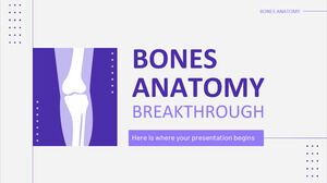 骨の解剖学の画期的な進歩