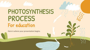 Processus de photosynthèse pour l’éducation