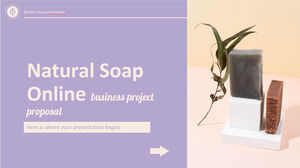 天然皂网上商业项目提案