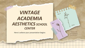 Школьный центр эстетики Vintage Academia