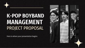 K-pop 보이밴드 매니지먼트 프로젝트 제안