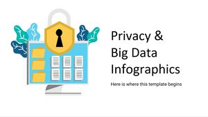 개인 정보 보호 및 빅 데이터 인포그래픽
