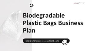 Plan de negocios de bolsas de plástico biodegradables