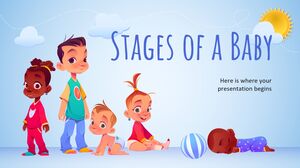 Stages of a Baby