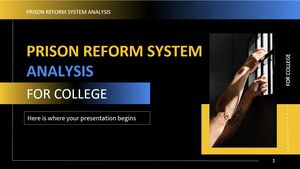 Prison Reform System Analysis for College Prison Reform System Analysis for College
