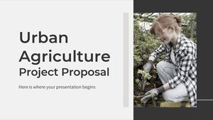 Предложение проекта городского сельского хозяйства