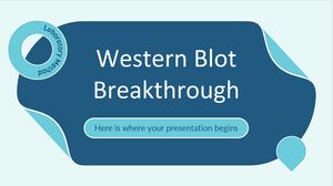 Western Blot Breakthrough