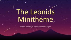 Das Leoniden-Minithema