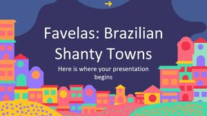 Favelas : bidonvilles brésiliens