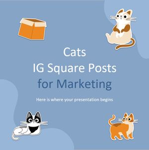 Kwadratowe posty Cats IG dla celów marketingowych