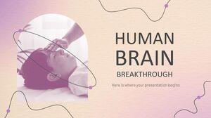 人間の脳の画期的な進歩
