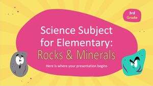 Materia di scienze per la scuola elementare - 3a elementare: rocce e minerali