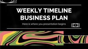 Plano de negócios semanal do cronograma
