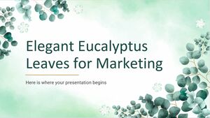 Elegantes hojas de eucalipto para marketing